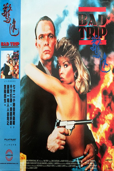 Póster de 72 horas