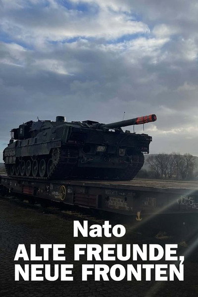 Póster de 75 Years of NATO: New Challenges and Chances