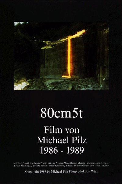 Póster de 80cm 5t