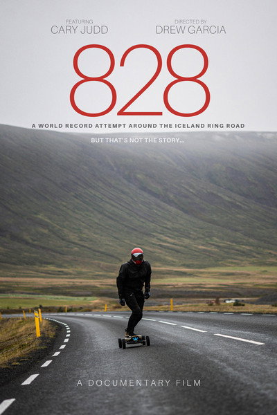 Póster de 828