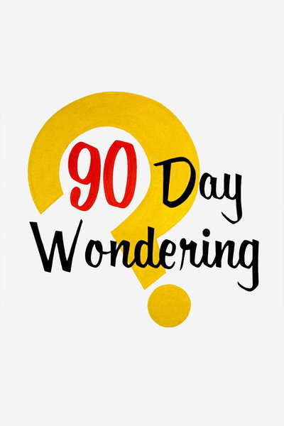 Póster de 90 Day Wondering