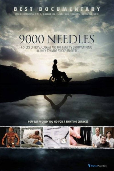 Póster de 9000 Needles