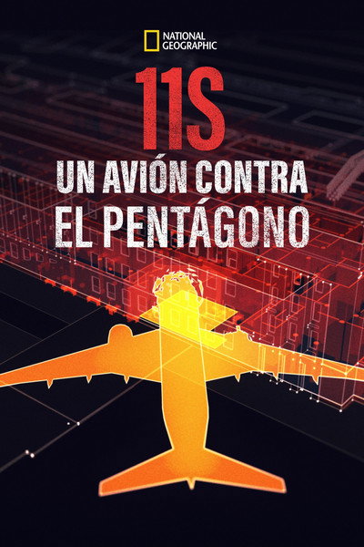 Póster de 9/11: The Plane That Hit the Pentagon