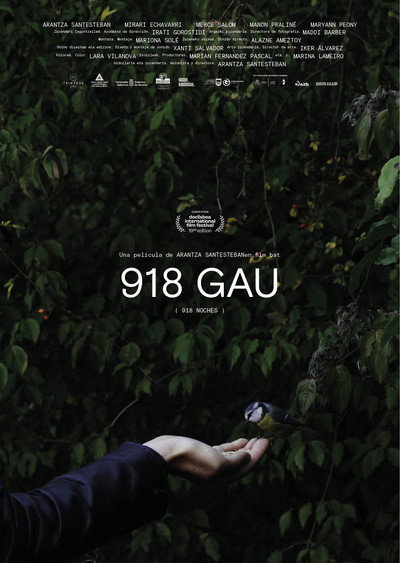 Póster de 918 gau (918 noches)