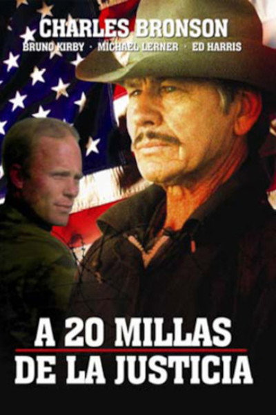 Póster de A 20 millas de la justicia