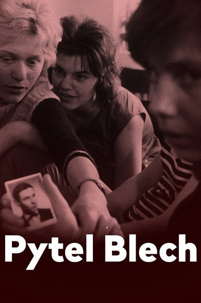 Póster de A Bagful of Fleas