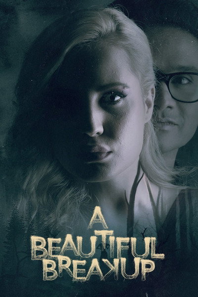 Póster de A Beautiful Breakup