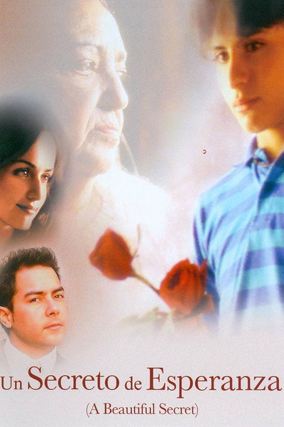 Póster de A Beautiful Secret