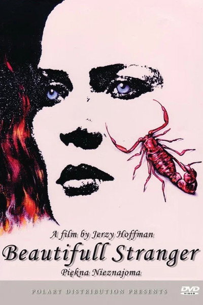 Póster de A Beautiful Stranger