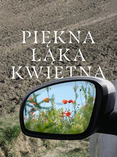 Póster de A Beautiful Wildflower Meadow