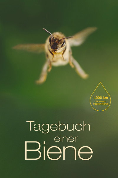 Póster de A Bee's Diary