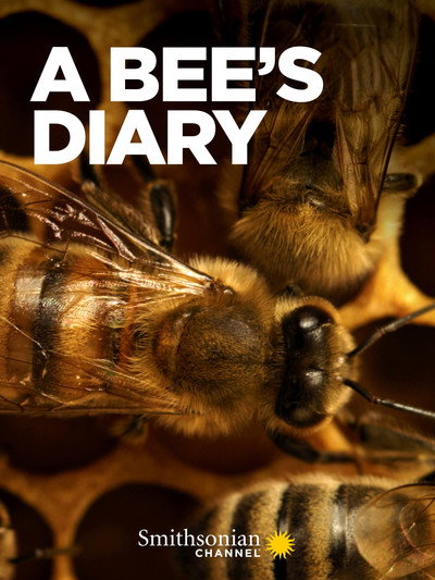 Póster de A Bee's Diary