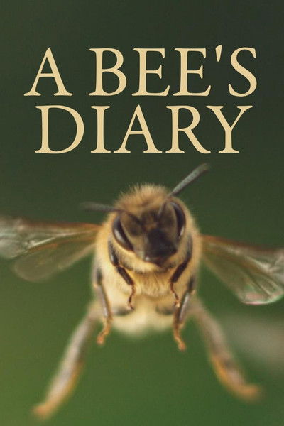 Póster de A Bee's Diary