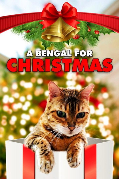 Póster de A Bengal for Christmas