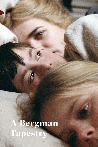 Póster de A Bergman Tapestry