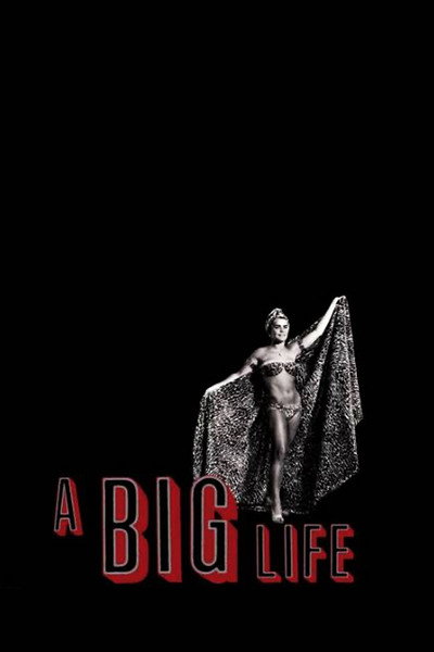 Póster de A Big Life