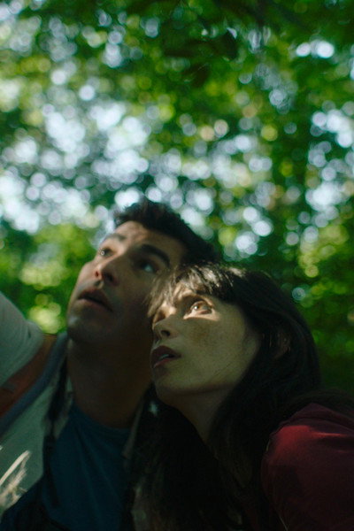 Póster de A Bird Came Down