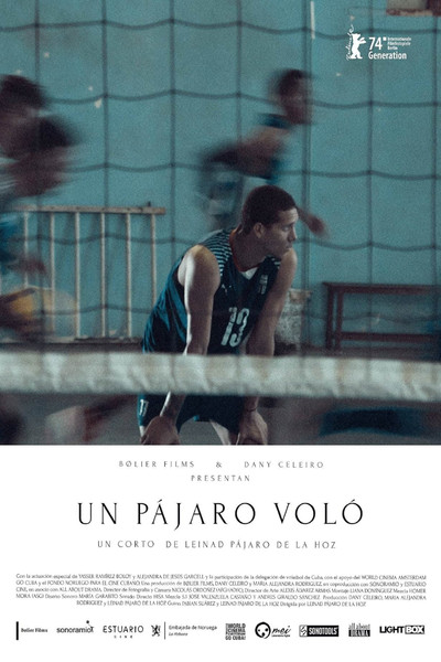 Póster de A Bird Flew