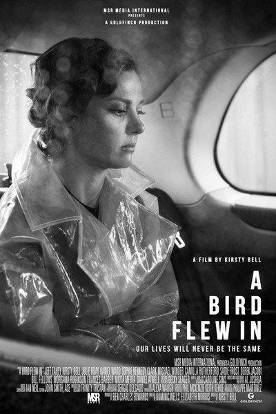 Póster de A Bird Flew In