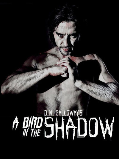 Póster de A Bird in the Shadow