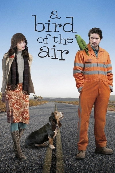 Póster de A Bird of the Air