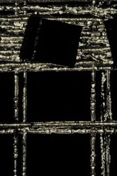 Póster de A Black Screen Too