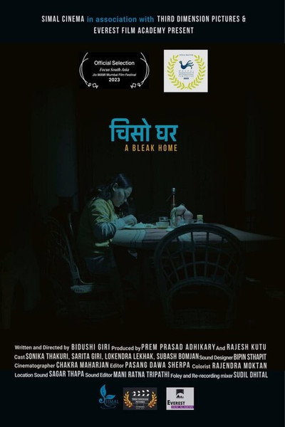 Póster de A Bleak Home