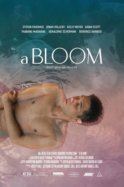 Póster de a BLOOM