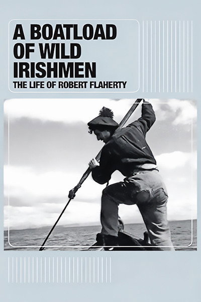 Póster de A Boatload of Wild Irishmen