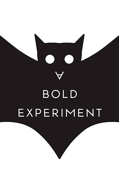 Póster de A Bold Experiment