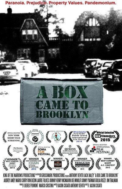 Póster de A Box Came to Brooklyn