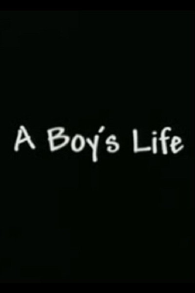 Póster de A Boy's Life