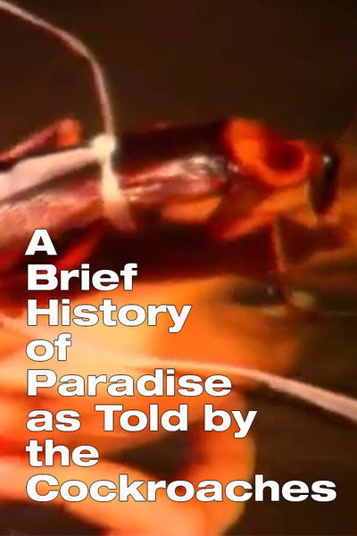 Póster de A Brief History of Paradise as Told by the Cockroaches