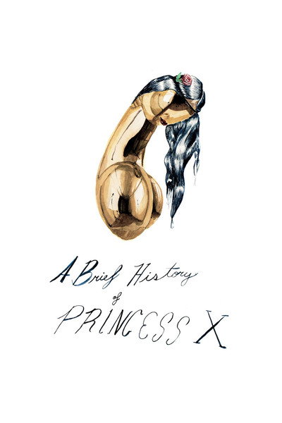 Póster de A Brief History of Princess X