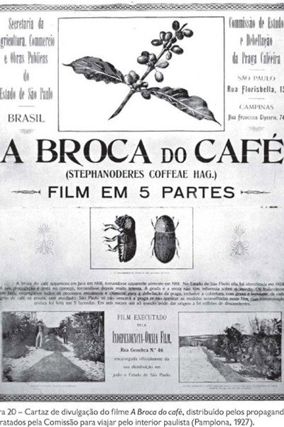 Póster de A Broca do Café