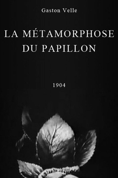 Póster de A Butterfly's Metamorphosis
