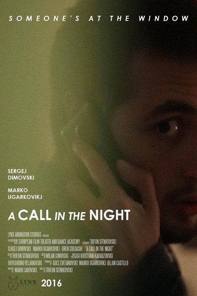 Póster de A Call in the Night