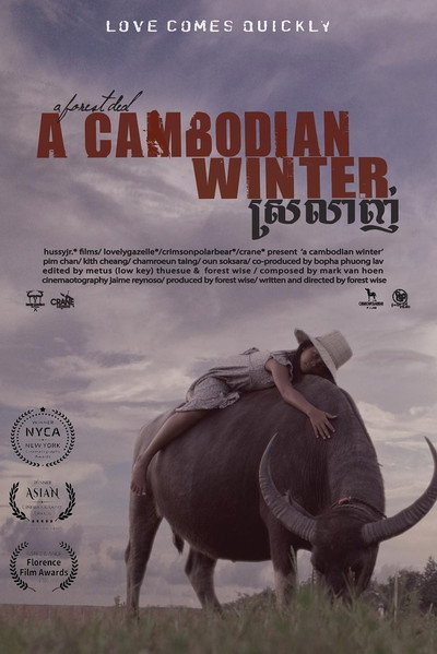 Póster de A Cambodian Winter