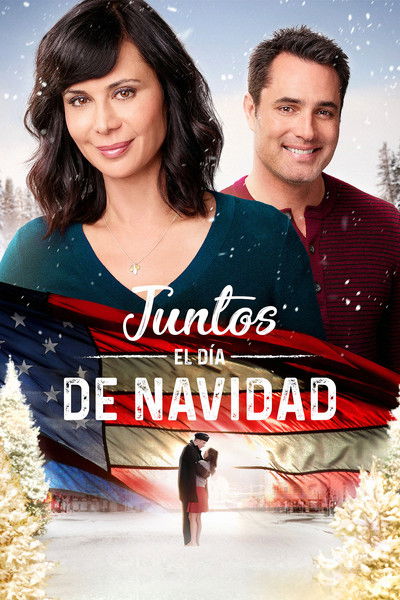 Póster de A casa por Navidad