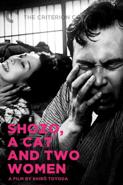 Póster de A Cat and Two Women