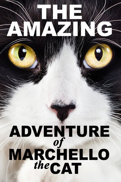Póster de A Cat's Tale