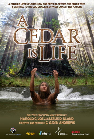 Póster de A Cedar Is Life