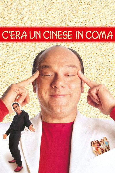 Póster de A Chinese in a Coma