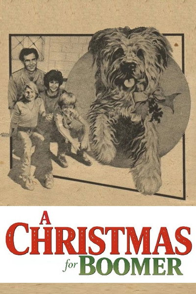 Póster de A Christmas for Boomer