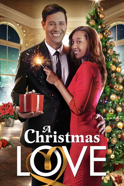 Póster de A Christmas Love