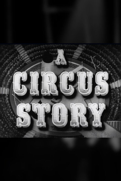 Póster de A Circus Story