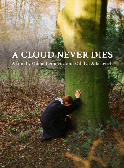 Póster de A Cloud Never Dies