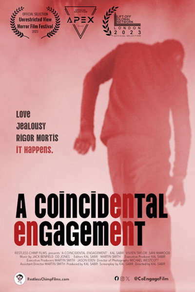 Póster de A Coincidental Engagement