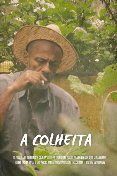 Póster de A Colheita