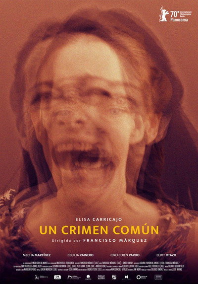 Póster de A Common Crime